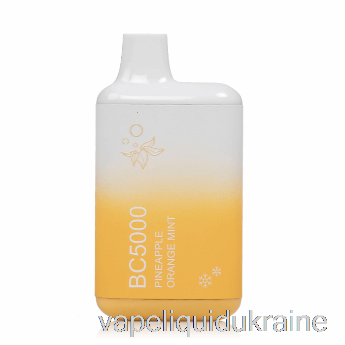 Vape Liquid Ukraine BC5000 Disposable Pineapple Orange Mint